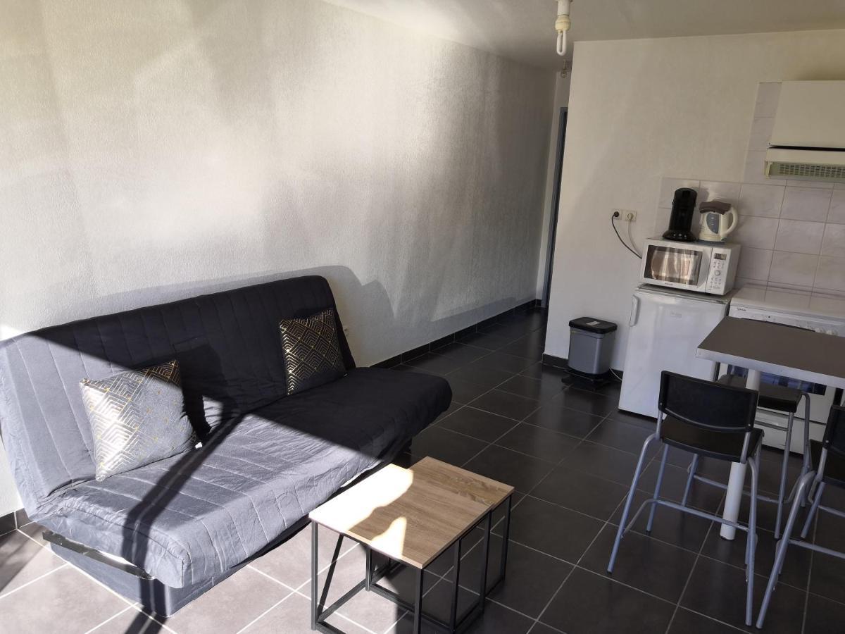 Spacieux, Top Lit, Hote Reactif, Proche Montagne Mer, Lumineux, Bien Equipe, Agreable, Chambre, Micro Maison Et Maison, Bien Regarder 佩皮尼昂 外观 照片
