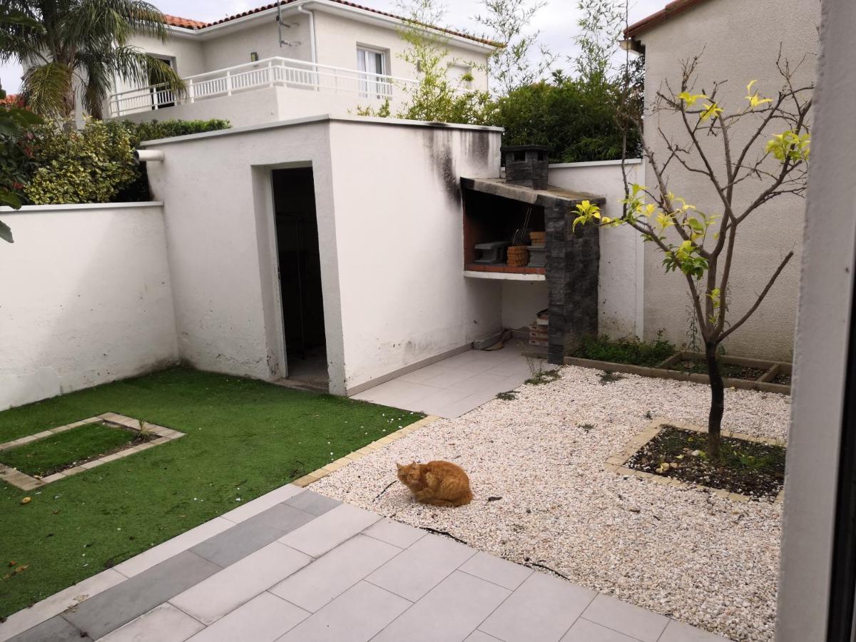 Spacieux, Top Lit, Hote Reactif, Proche Montagne Mer, Lumineux, Bien Equipe, Agreable, Chambre, Micro Maison Et Maison, Bien Regarder 佩皮尼昂 外观 照片